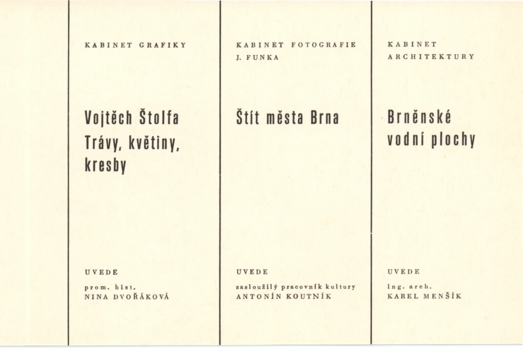 Brněnské vodní plochy